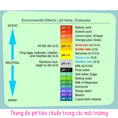 thang-do-ph